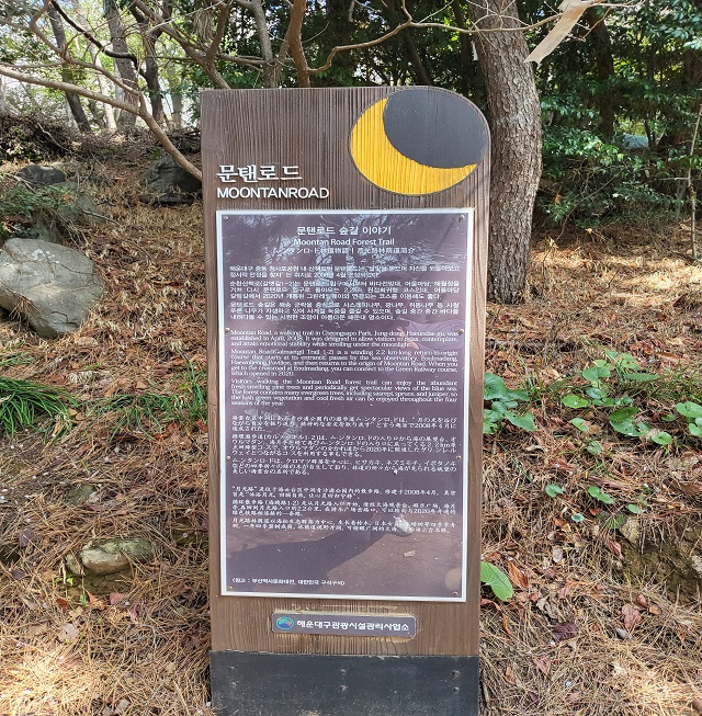 문탠로드 숲길 이야기